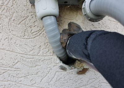 Rat Exterminator Ottawa