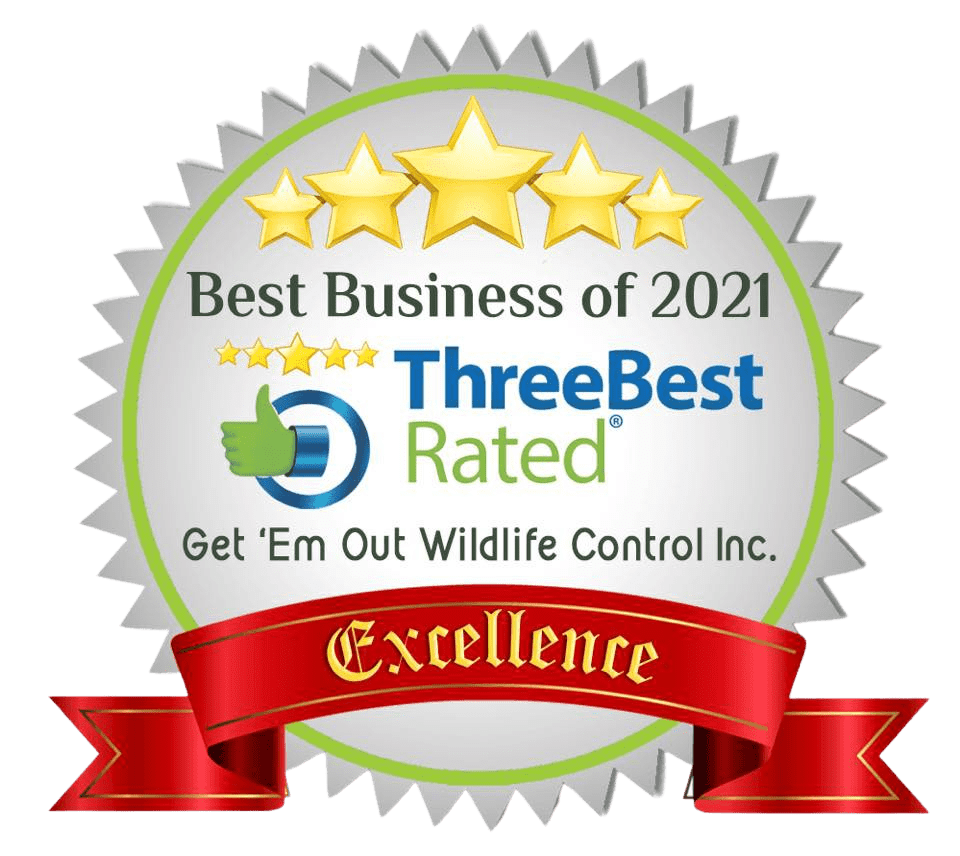 Best Business Award 2021 for Pest Removal services in Ottawa.