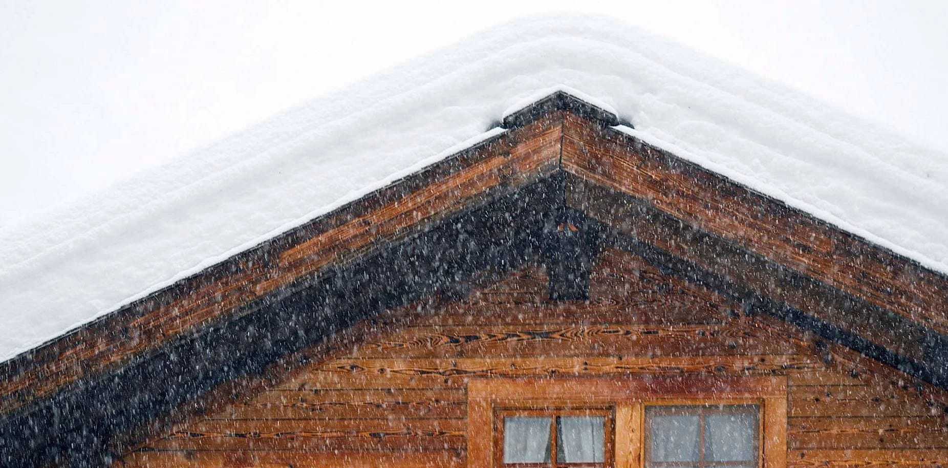 Mouse Removal Ottawa