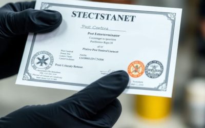 Pest Exterminator License: Rules, Regulations, and Renewal