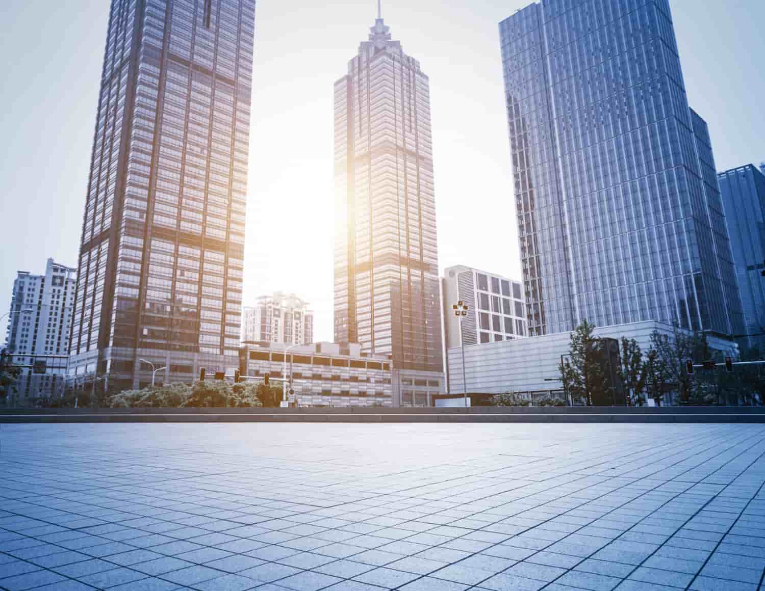 Residential & Commercial Animal Control Services in Orleans